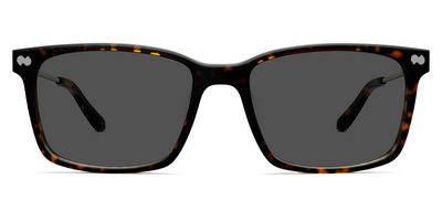 The Kirby - Mixed Material Tortoise Gold Metal Sun