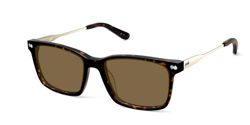 The Kirby - Mixed Material Tortoise Gold Metal Sun