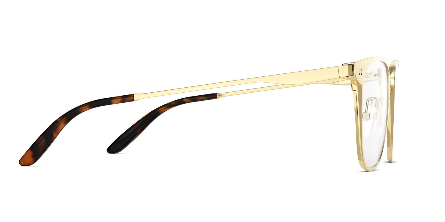 The Nola - Gold Metal