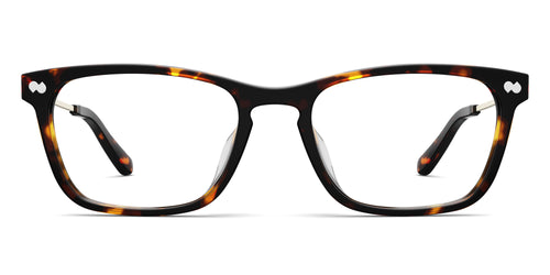 The Casper - Tortoise Acetate Gold Metal