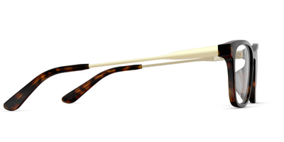 The Casper - Tortoise Acetate Gold Metal